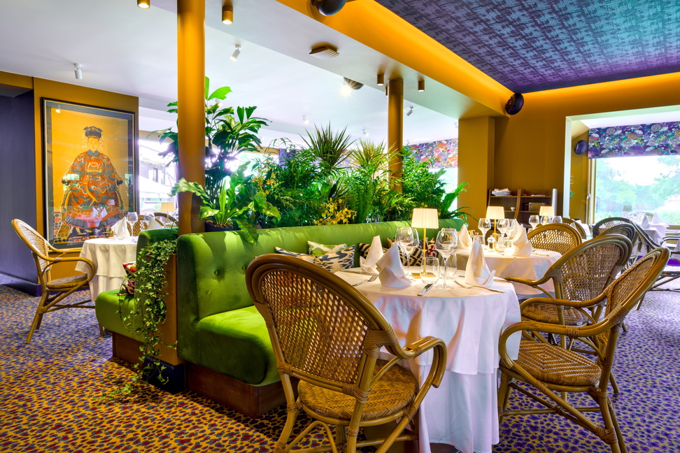 Salle à manger, coin salon végétalisé